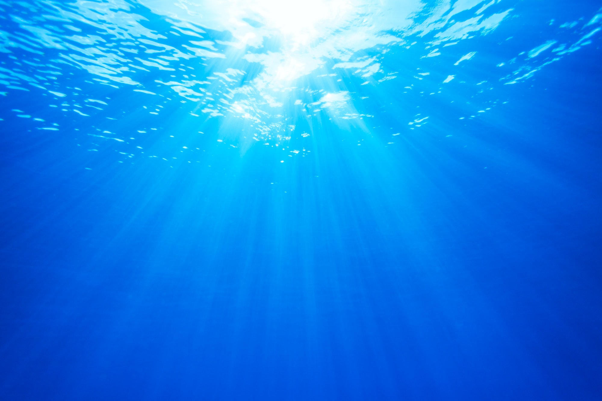 real ray of light from underwater.jpg