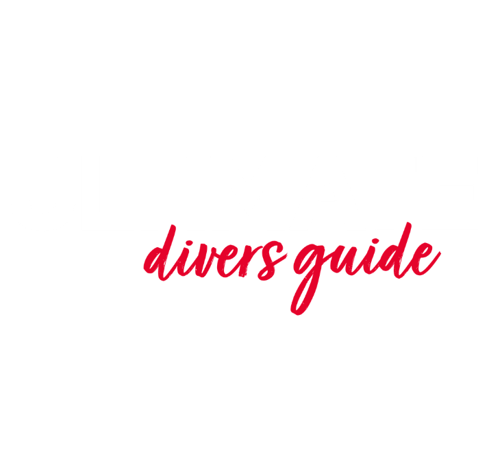 untitled design (18)