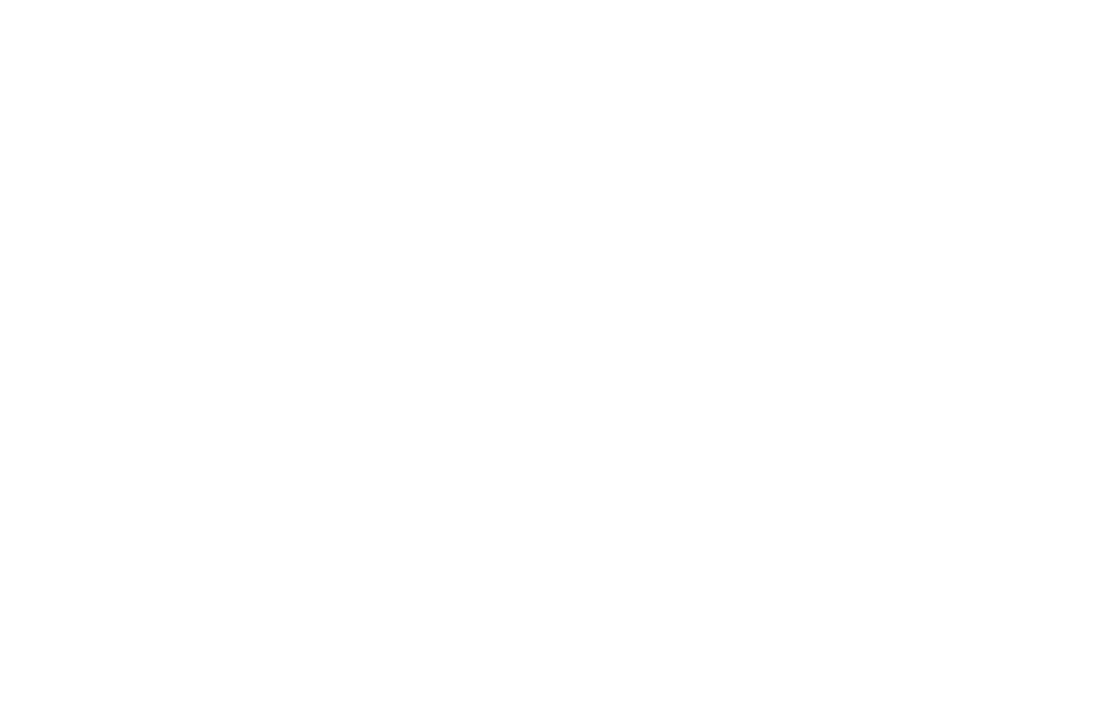 bolded sk white logo