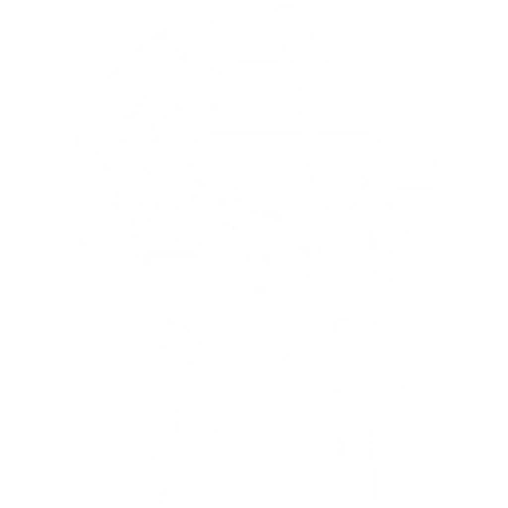 padi logo white elementary digital optimised 1
